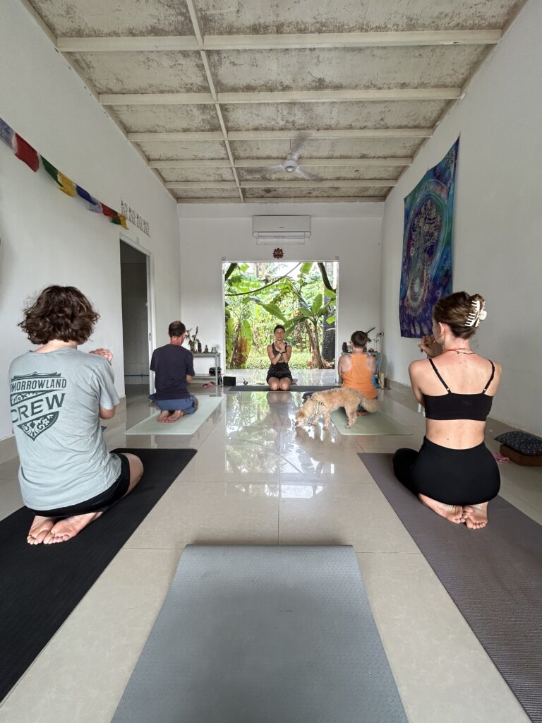 Joga